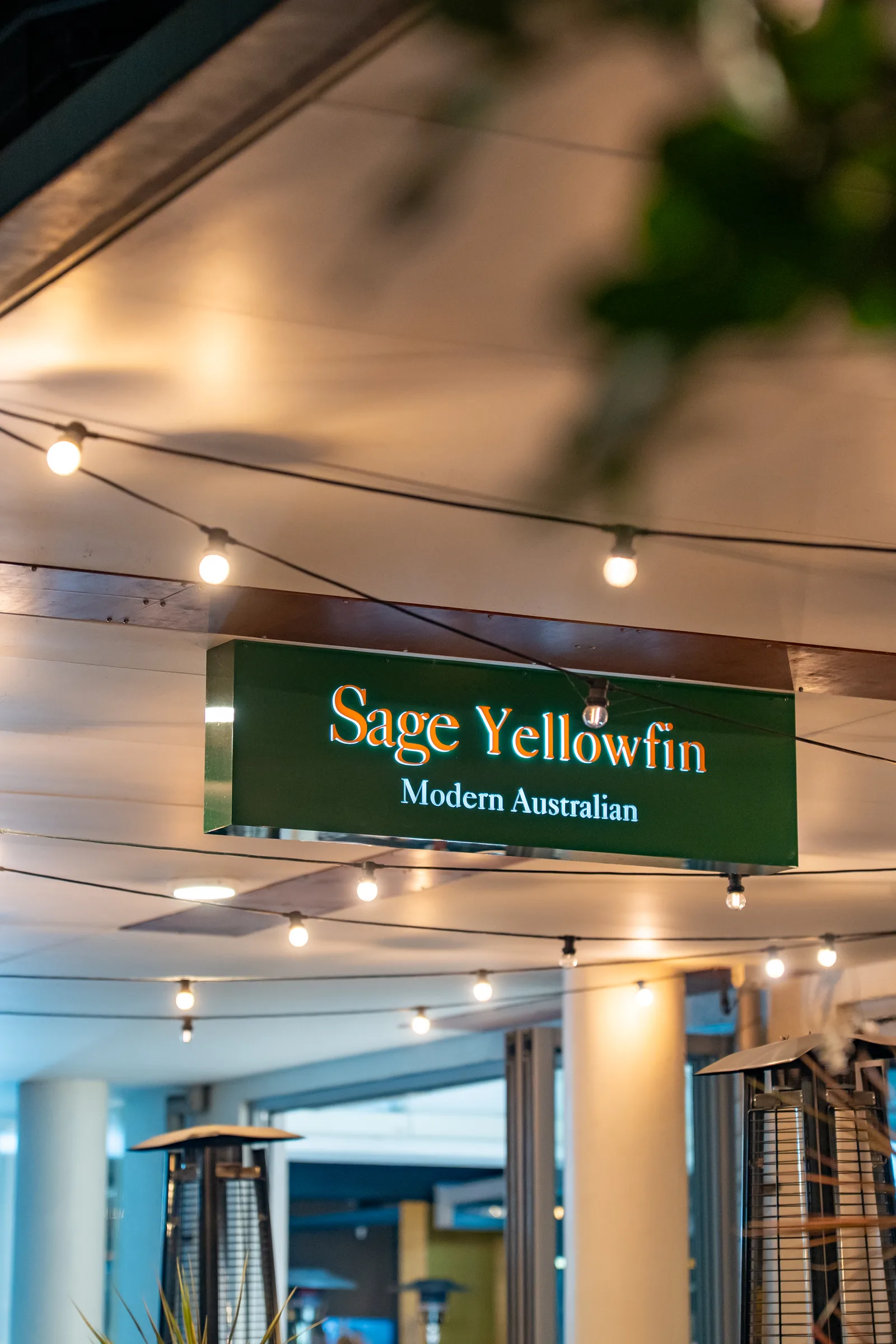 Sage Yellowfin illuminated sign by night — South Bank Brisbane
