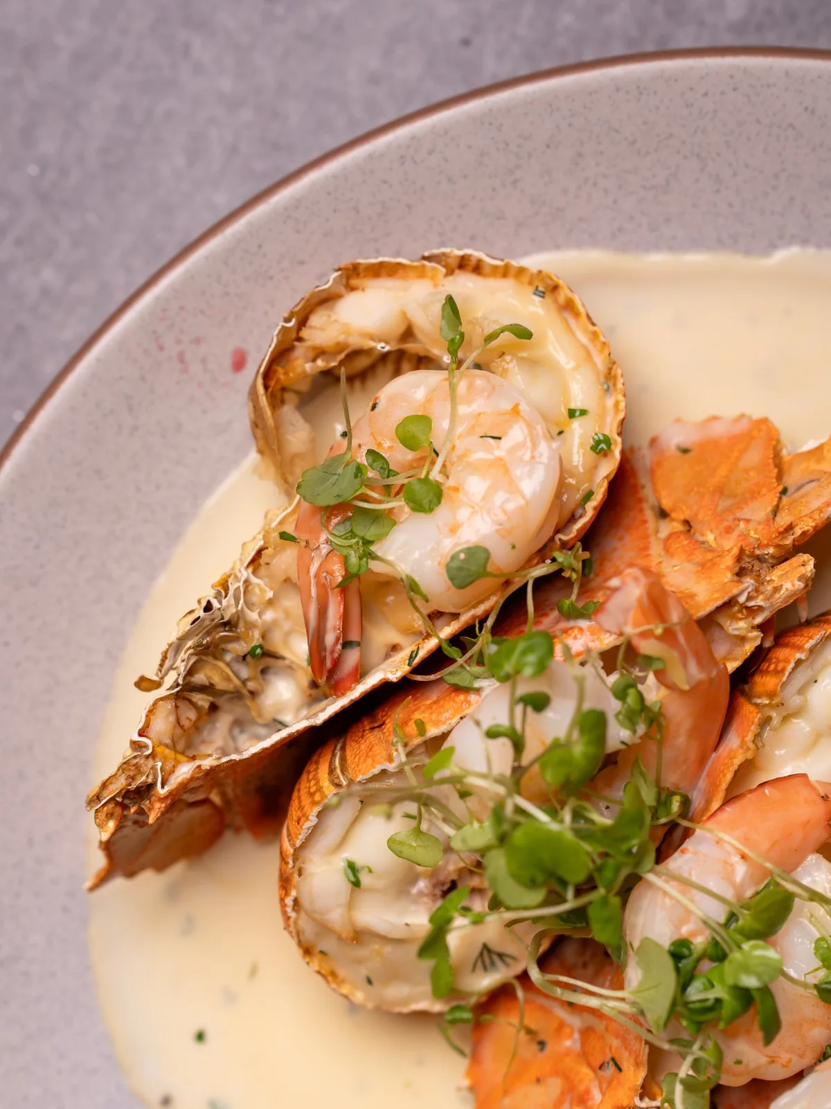 Braised beef cheeks with red wine jus